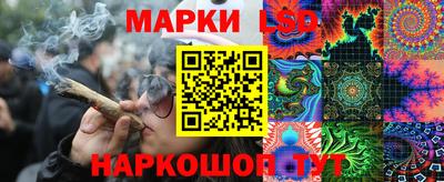 кокс Гатчина
