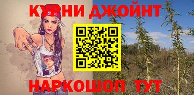 кокс Гатчина