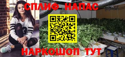 кокс Гатчина