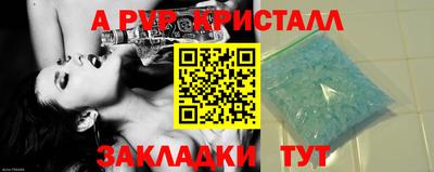кокс Гатчина