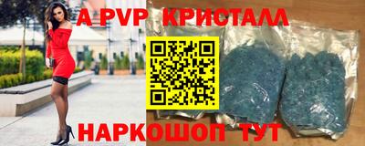 кокс Гатчина