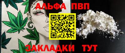 кокс Гатчина